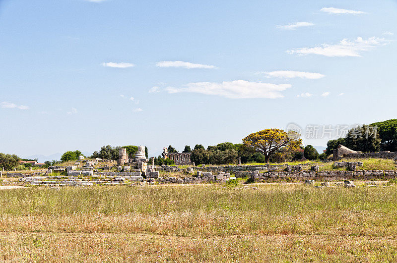 罗马神庙- Paestum